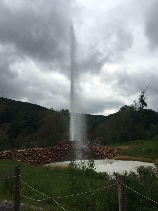 Gasthaus Stammbaum Andernach Dış mekan fotoğraf